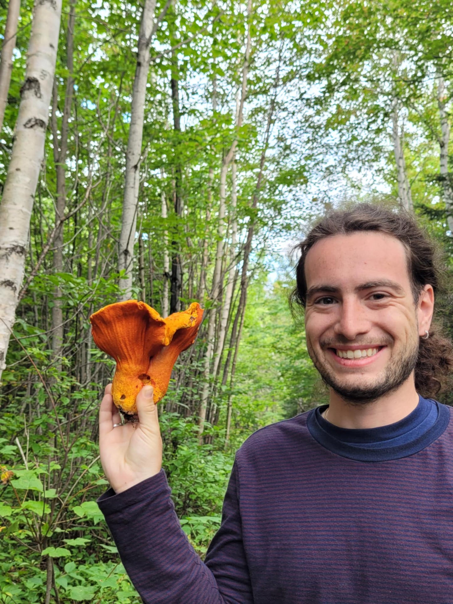 Atelier du samedi 23 août - L'univers des champignons médicinaux