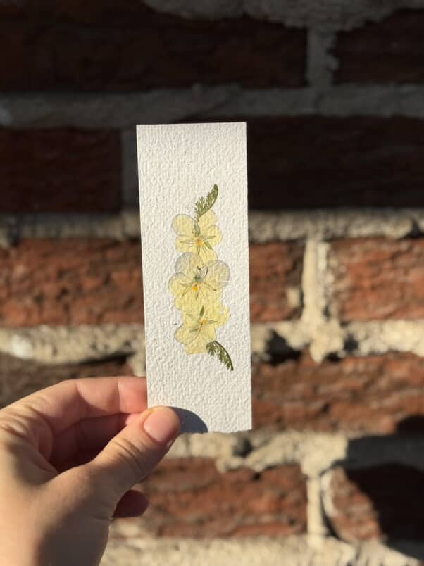 Signet floral unique #10 + carte M comme Merveilleuse + tisane Calme