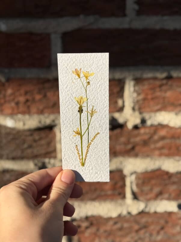 Signet floral unique #8 + carte M comme Merveilleuse + tisane Calme