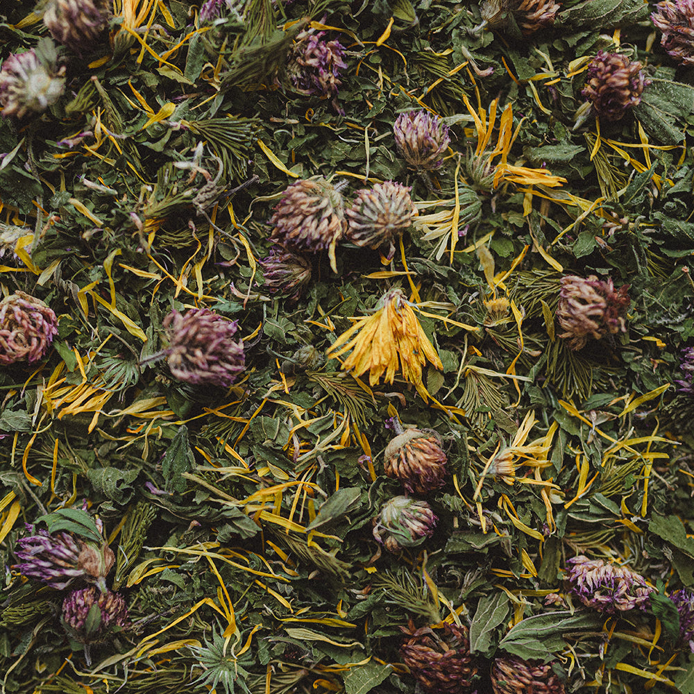 Strength Herbal Tea - Support & Vigor