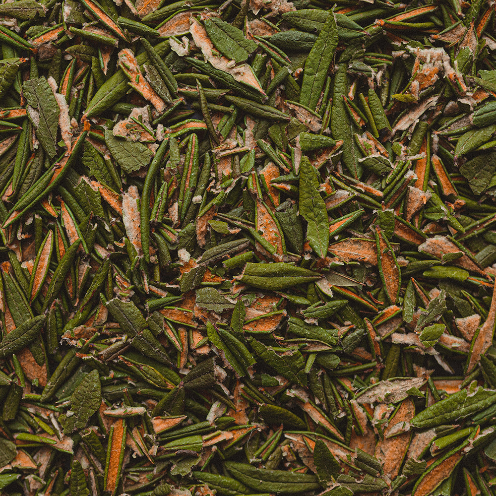 Labrador Tea