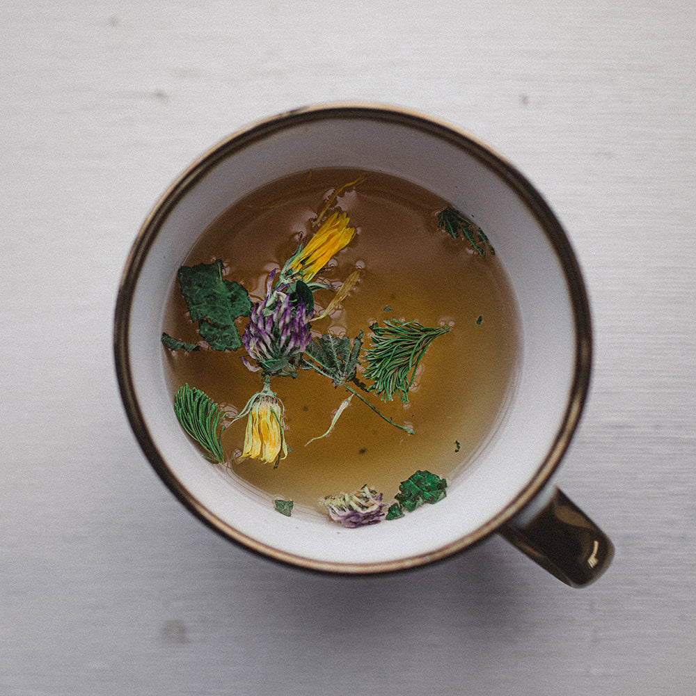 Strength Herbal Tea - Support & Vigor
