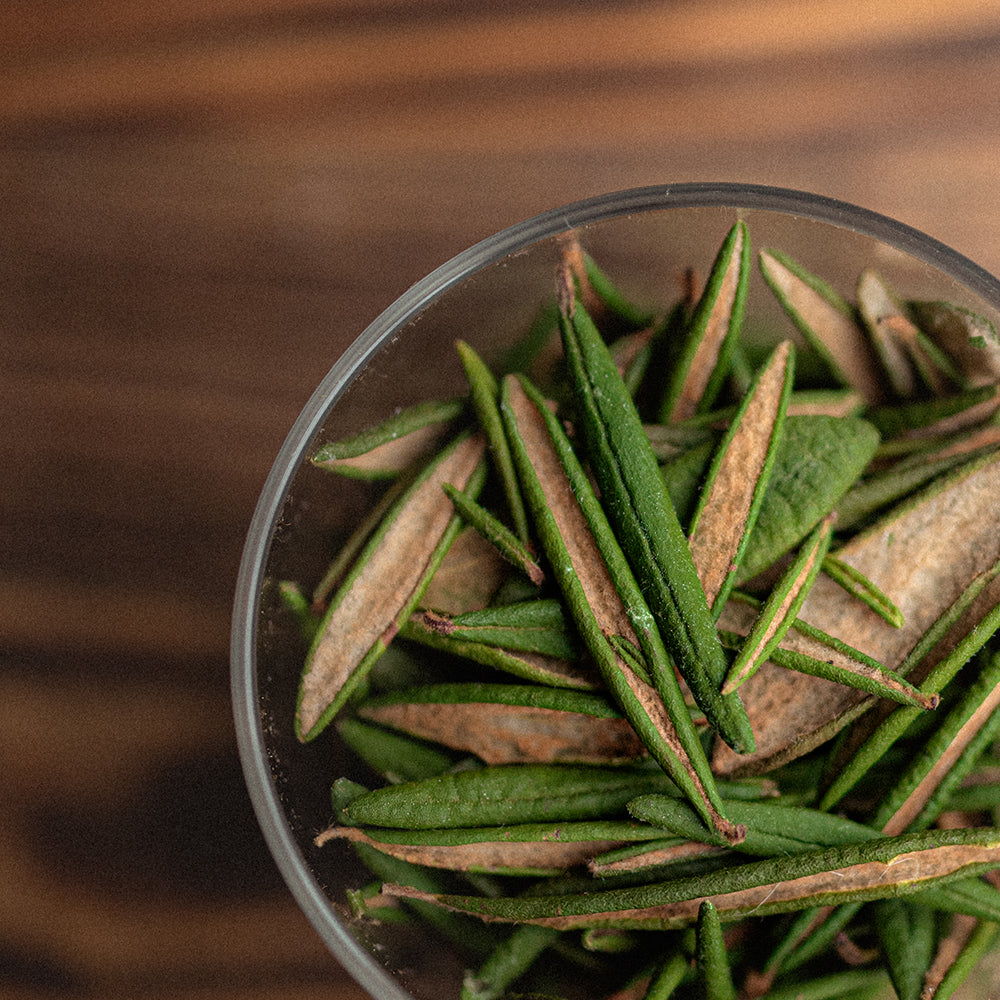 Labrador Tea