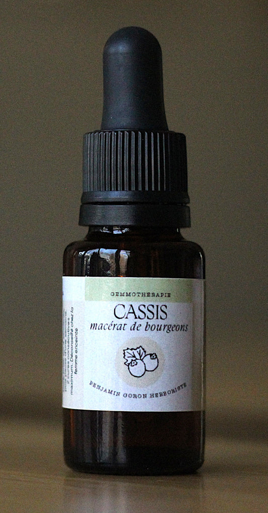 Macérat de bourgeons - Cassis