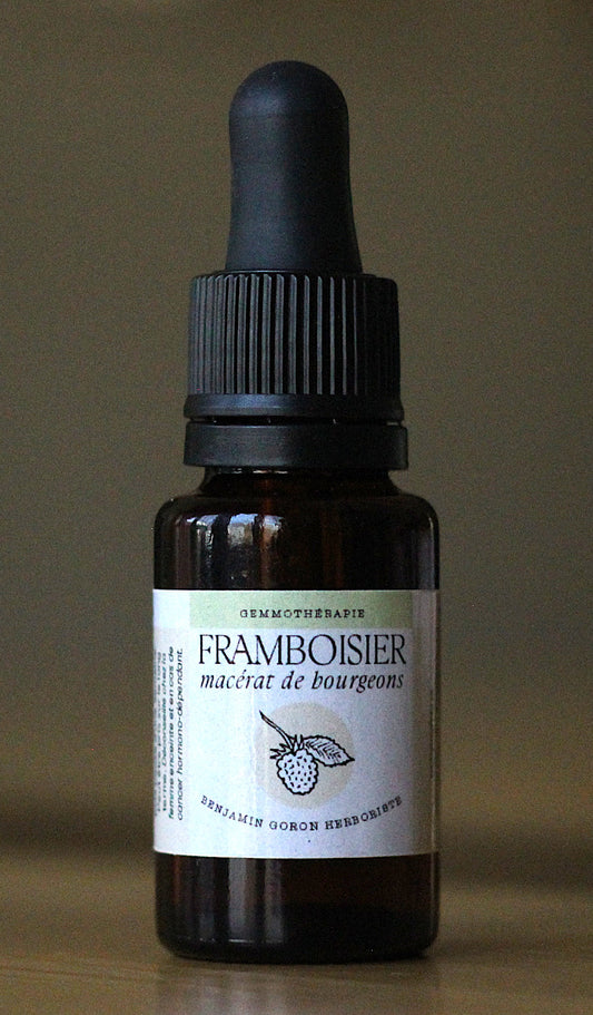 Macérat de bourgeons - Framboisier