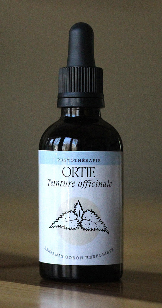 Teinture - Ortie