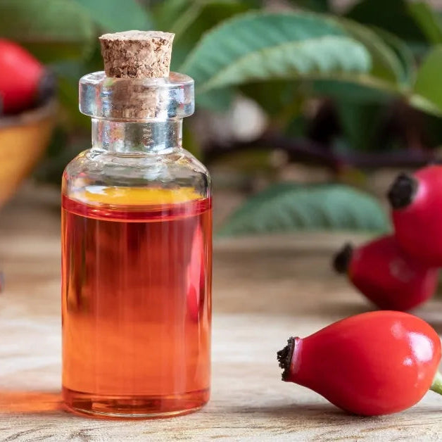Atelier du dimanche 13 septembre - Cuisine médicinale : recettes et secrets d’herboriste