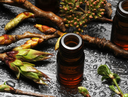 Samedi 18 avril 2026 : Introduction à la gemmothérapie