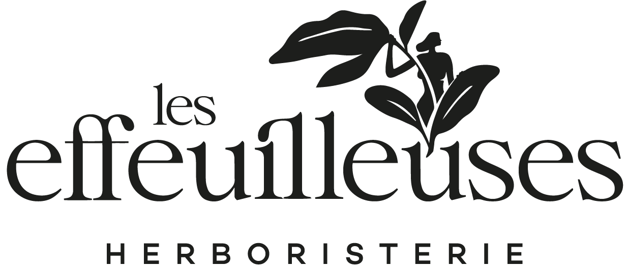 Camomille romaine du Québec – Herboristerie Les Effeuilleuses