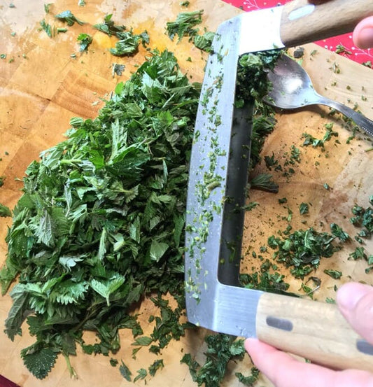 Workshop on Saturday, August 16 - Medicinal Cooking: Herbalist Recipes and Secrets